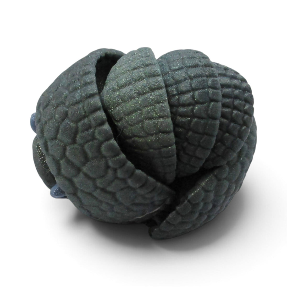 Flutterby Creations Rolo 3D printed flexi armadillo toy with dark green textured armor scales in a curled position